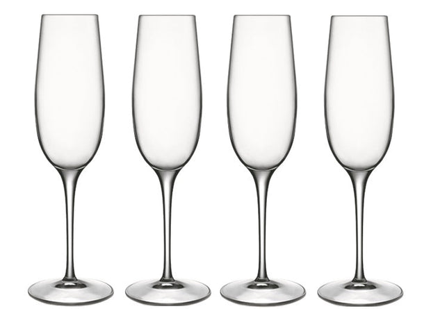 Luigi Bormioli: Crescendo Champagne Flute Glasses 235ML - 4 Pack